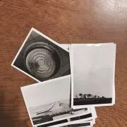 はなまるが咲くの画像