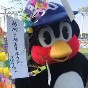 A.Tの画像