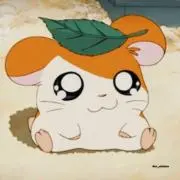 ︎︎︎︎︎mimimi☺︎の画像