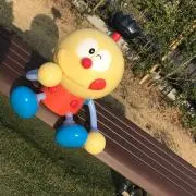 ぽぽの画像