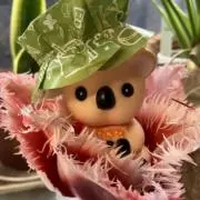 ぷーちん【長期いいねNG 】の画像