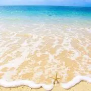 ⭐たいぴぴ⭐の画像