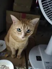 ヒロミ