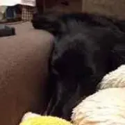 Tっち