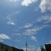 はるの画像