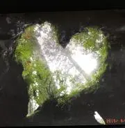 こてるの画像