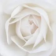 dorahana☆断捨離中☆プロフ見てねの画像