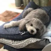 たかくん