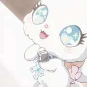 yの画像