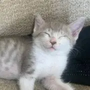 2児ママ♡