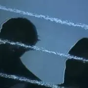 御酢