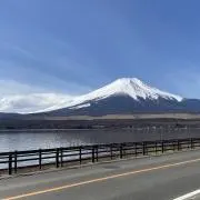 ビーグル