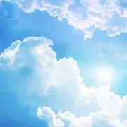 うりんちゃんの画像