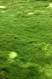 やまとと