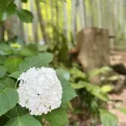 yoonの画像