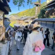 ヨウヨウの画像