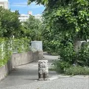 おかあさんといっしょ まとめ売り DVD13枚 CD 2枚 - メルカリ