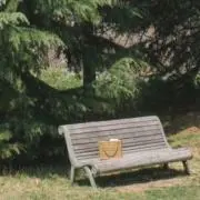 うきの画像