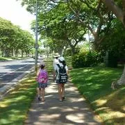 ミトリーの画像