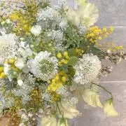 Yuの画像