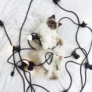 nikkyの画像
