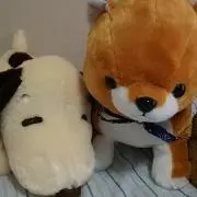 AKKYの画像
