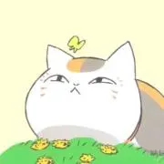 サトシヤの画像