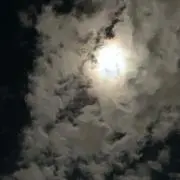 Yの画像