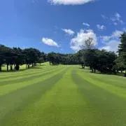 Dairokuの画像