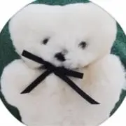 ちみたん 中国限定 マスコット ぬいぐるみ キーホルダー イケメン