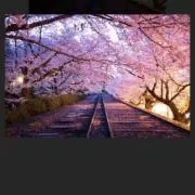 tmy.の画像