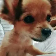 さこ