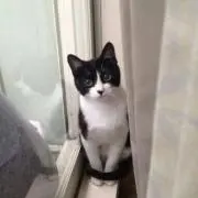 るいちゃん