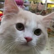まる