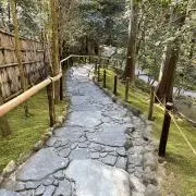 めぇめぇの画像