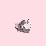 Nちゃん