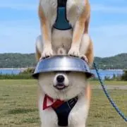 あいぜん　自己紹介文みてください！の画像
