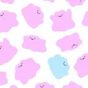 ぽむの画像