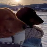 なつきちの画像