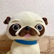 ゴンタ