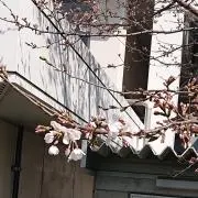 Megruhappy【プロフ必読】の画像