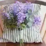 プルミエラムールの画像