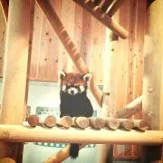 もふ