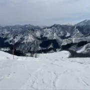 19kの画像
