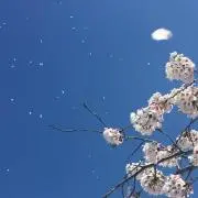 み☆の画像