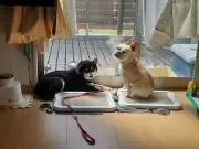 ★はなもも★