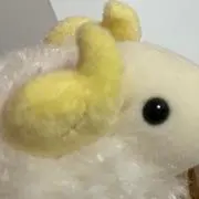 まこの画像