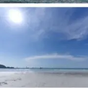 Zzzの画像