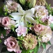 Lily ❤️即購入大歓迎です❤️