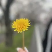 らむ✩✩✩出品初心者の画像